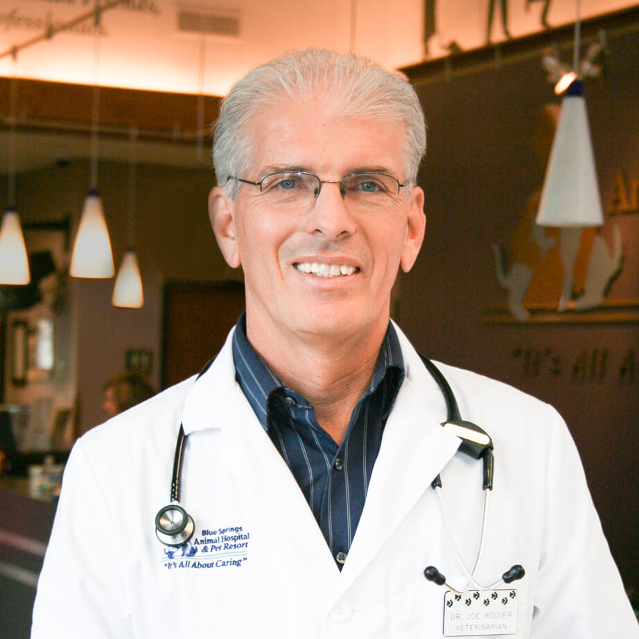 Dr. Joe Rodier
