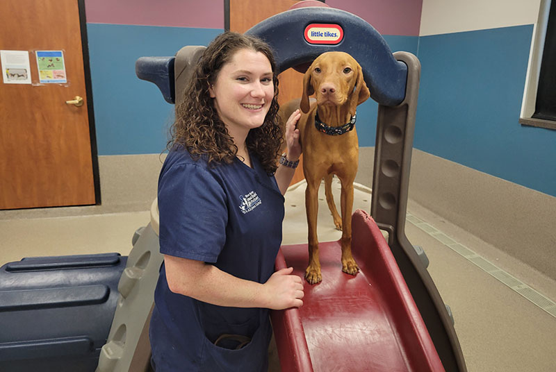 Blue-Springs-Pet-Resort-Doggie-Daycare-Playtime-Kansas-City Blue-Springs-Pet-Resort-Doggie-Daycare-Playtime-Kansas-City