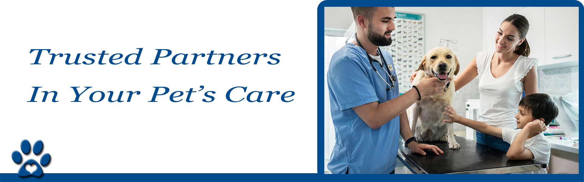 Image of Blue_Springs_Animal_Hospital_Veterinarian_Client_Bill_Of_Rights