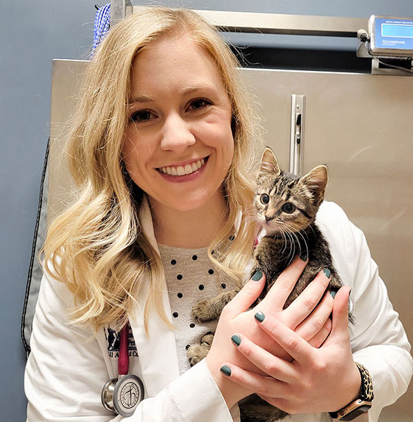 Veterinarians from Blue Springs Animal Hospital available if needed Veterinarians from Blue Springs Animal Hospital available if needed