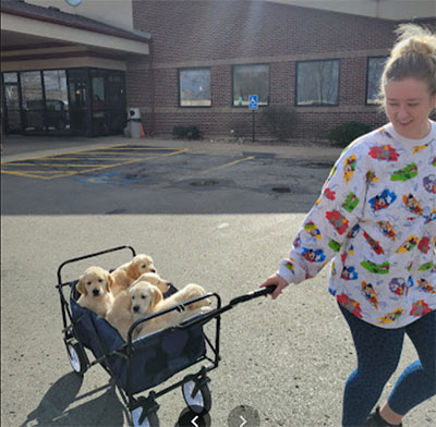 Review of Blue Springs Animal Hospital & Pet Resort By Hannah Williams Review of Blue Springs Animal Hospital & Pet Resort By Hannah Williams