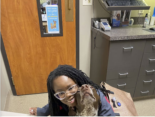 Dog JoeV_Google_Review_TPLO_Surgery_Blue_Springs_Animal_Hospital Image of dog for JoeV_Google_Review_TPLO_Surgery_Blue_Springs_Animal_Hospital