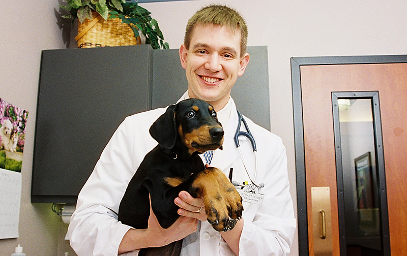 Veterinarians from Blue Springs Animal Hospital available if needed Veterinarians from Blue Springs Animal Hospital available if needed