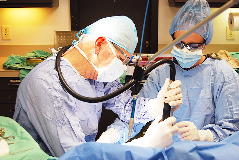 Tibial Plateau Leveling Osteotomy-TPLO-Surgery-Dog-Kansas-City Image of Osteotomy-TPLO-Surgery-Dog-Kansas-City